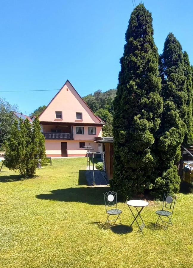Ferienwohnung Tremmbach Salzwoog 外观 照片