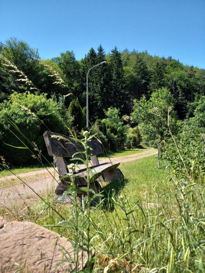 Ferienwohnung Tremmbach Salzwoog 外观 照片